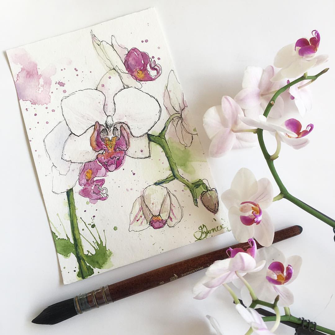 Orchids Watercolor